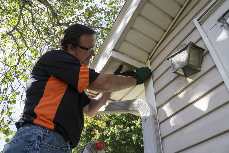 Skilled Vinyl Siding Repair Technician