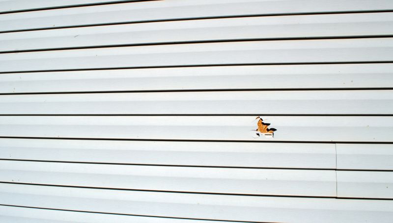 Completed Vinyl Siding Restoration